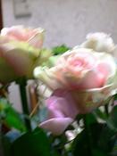 NbNŊg\ ( .jpg / 32.6KB )