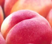 NbNŊg\ ( .jpg / 9.3KB )