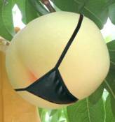 NbNŊg\ ( .jpg / 14.5KB )