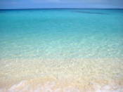 NbNŊg\ ( .jpg / 10.4KB )