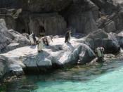 NbNŊg\ ( .jpg / 50.3KB )