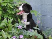 NbNŊg\ ( .jpg / 73.9KB )