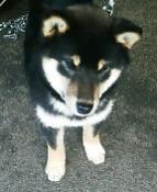 NbNŊg\ ( .jpg / 13.0KB )