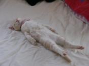 NbNŊg\ ( .jpg / 32.8KB )