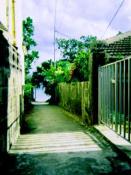 NbNŊg\ ( .jpg / 15.6KB )