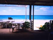 NbNŊg\ ( .jpg / 76.5KB )