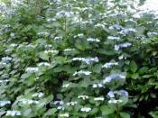 NbNŊg\ ( .jpg / 50.9KB )