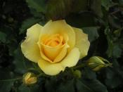 NbNŊg\ ( .jpg / 41.7KB )