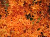 NbNŊg\ ( .jpg / 84.6KB )