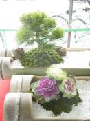 NbNŊg\ ( .jpg / 56.8KB )