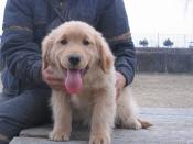 NbNŊg\ ( .jpg / 95.8KB )