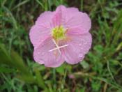 NbNŊg\ ( .jpg / 74.2KB )