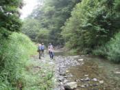 NbNŊg\ ( .jpg / 67.2KB )