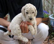 NbNŊg\ ( .jpg / 49.9KB )