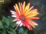 NbNŊg\ ( .jpg / 37.9KB )