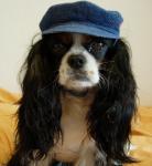 NbNŊg\ ( .jpg / 48.6KB )