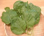 NbNŊg\ ( .jpg / 84.4KB )