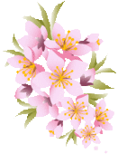 NbNŊg\ ( .gif / 15.1KB )