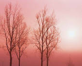 NbNŊg\ ( .jpg / 39.2KB )