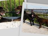 NbNŊg\ ( .jpg / 47.3KB )