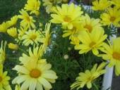 NbNŊg\ ( .jpg / 24.5KB )