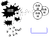 NbNŊg\ ( .gif / 2.9KB )