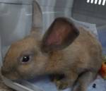 NbNŊg\ ( .jpg / 16.2KB )