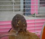 NbNŊg\ ( .jpg / 44.2KB )