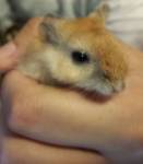 �N���b�N�Ŋg��\�� ( .jpg / 57.1KB )