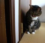 �N���b�N�Ŋg��\�� ( .jpg / 18.6KB )