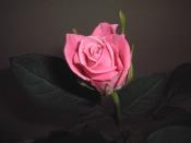 �N���b�N�Ŋg��\�� ( .jpg / 246.7KB )