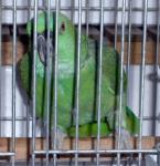 NbNŊg\ ( .jpg / 68.8KB )