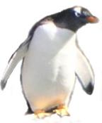 NbNŊg\ ( .jpg / 26.6KB )