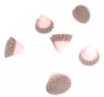 NbNŊg\ ( .jpg / 6.3KB )