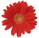 NbNŊg\ ( .jpg / 28.5KB )