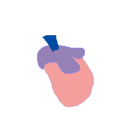 �N���b�N�Ŋg��\�� ( .png / 1.3KB )