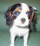 �N���b�N�Ŋg��\�� ( .jpg / 22.0KB )