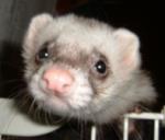 �N���b�N�Ŋg��\�� ( .jpg / 9.1KB )