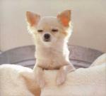 �N���b�N�Ŋg��\�� ( .jpg / 8.7KB )