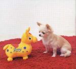 �N���b�N�Ŋg��\�� ( .jpg / 12.6KB )