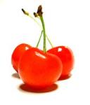 �N���b�N�Ŋg��\�� ( .jpg / 5.4KB )