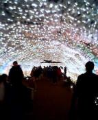 NbNŊg\ ( .jpg / 30.4KB )