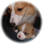 NbNŊg\ ( .jpg / 7.9KB )