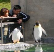 NbNŊg\ ( .jpg / 88.7KB )