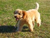 NbNŊg\ ( .jpg / 46.8KB )