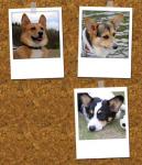 NbNŊg\ ( .jpg / 57.5KB )